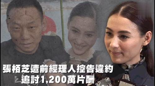 娱乐吃瓜信佛,娱乐至佛——揭秘娱乐圈的佛系生活态度